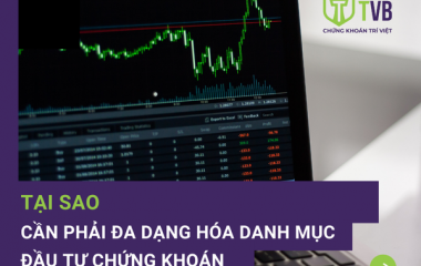 TẠI SAO CẦN PHẢI ĐA DẠNG HÓA DANH MỤC ĐẦU TƯ CHỨNG KHOÁN?